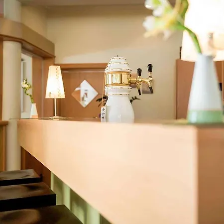 Ibis Kassel Melsungen