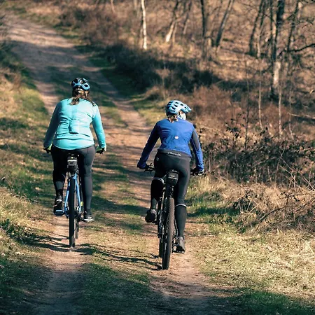 宜必思卡塞麦苏根酒店 酒店 梅尔松根