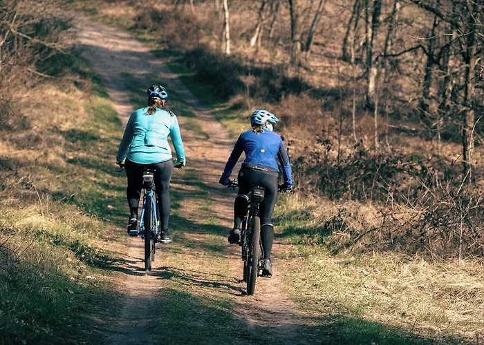 Ibis Kassel Hotel Melsungen